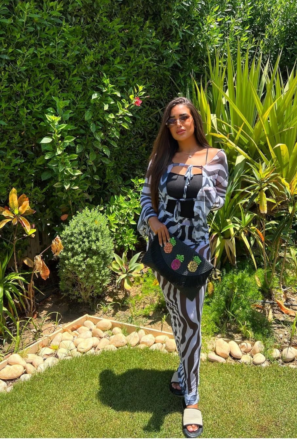 Zebra set