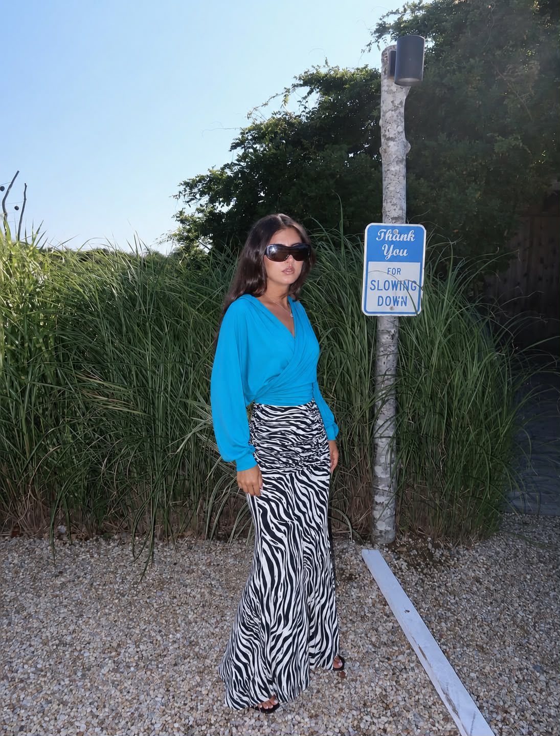 Leen Skirt in Zebra