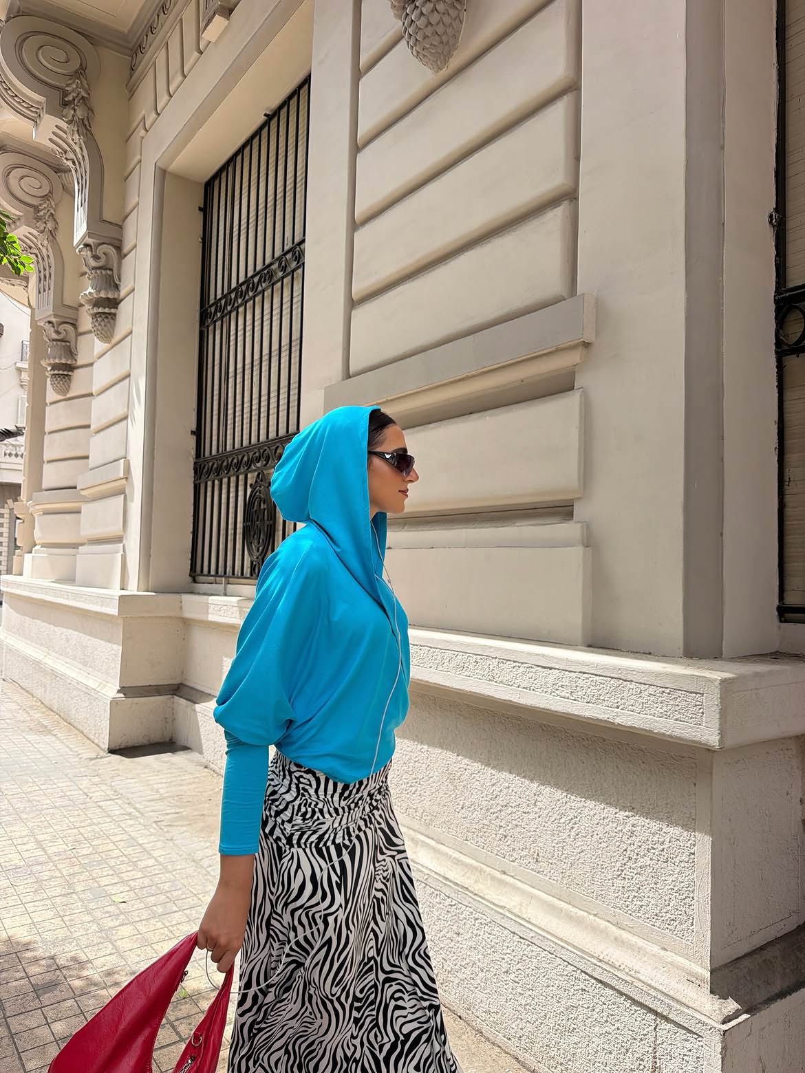 Leen Skirt in Zebra