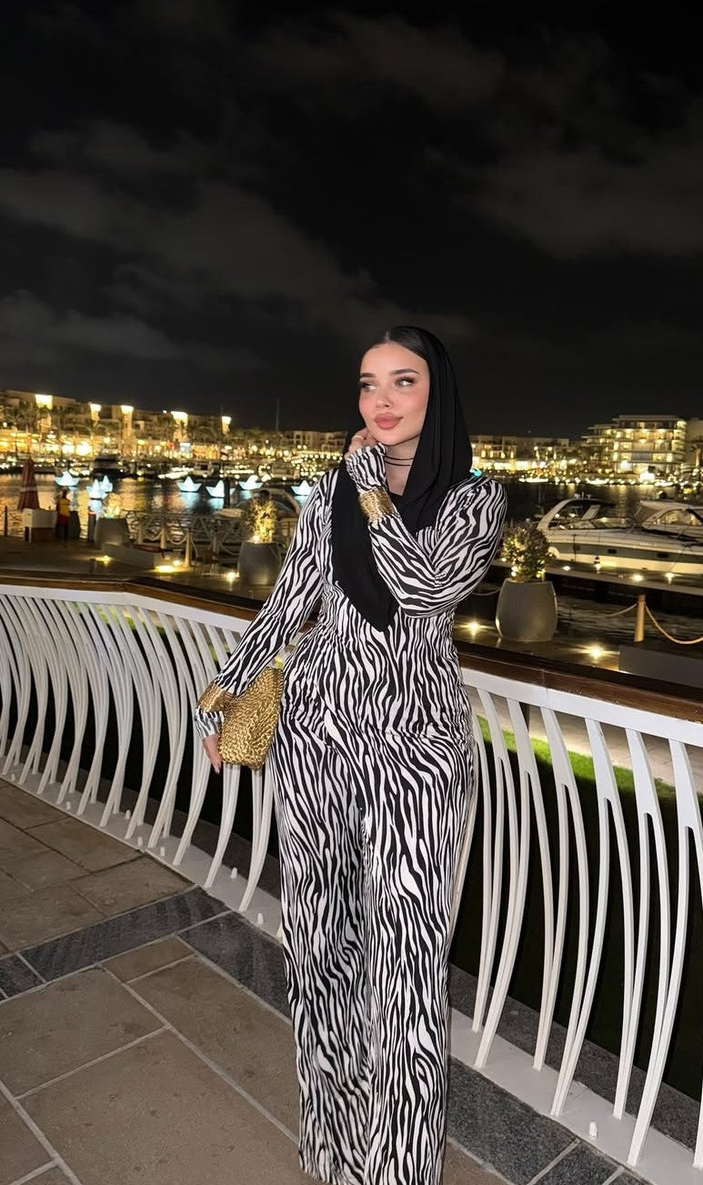 Zebra hooded set