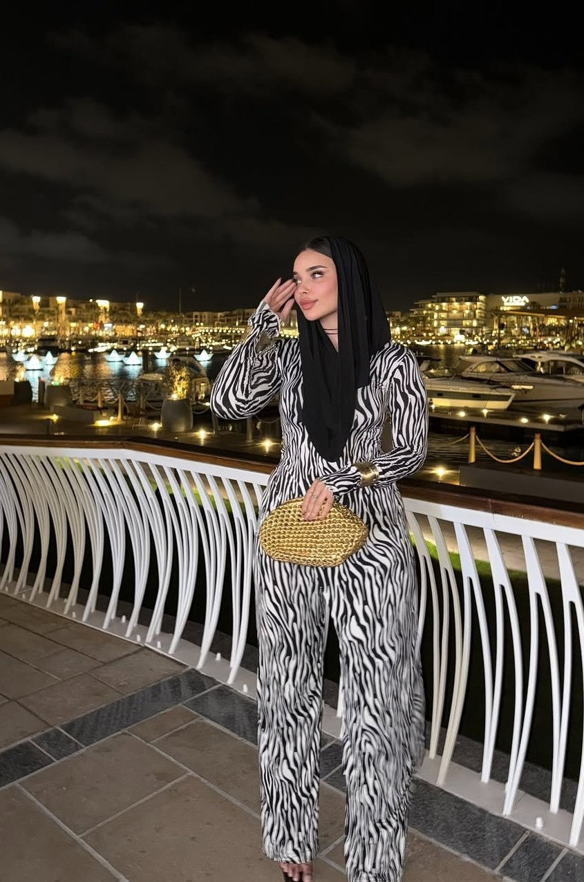 Zebra hooded set