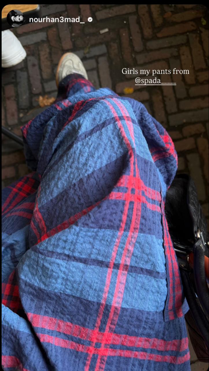 Blue Carreaux pants